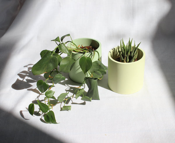 SMALL PLANTER 3''- LIME SORBET // POT CYLINDRE 3''- VERT SORBET