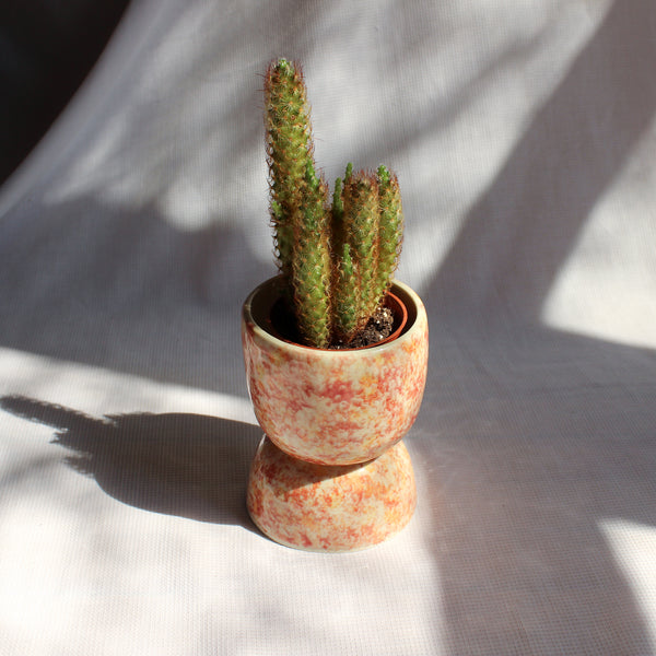 FLORAL PLANTER // CACHE-POT FLEURI - SUR PIED