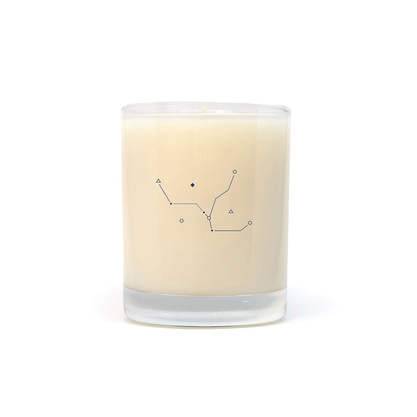 SCENTED CANDLE - SPRUCE & WOODSMOKE // CHANDELLE PARFUMÉE - ÉPICEA ET FEU DE BOIS